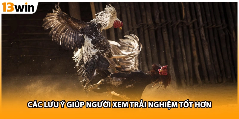 Các lưu ý giúp người xem trải nghiệm tốt hơn