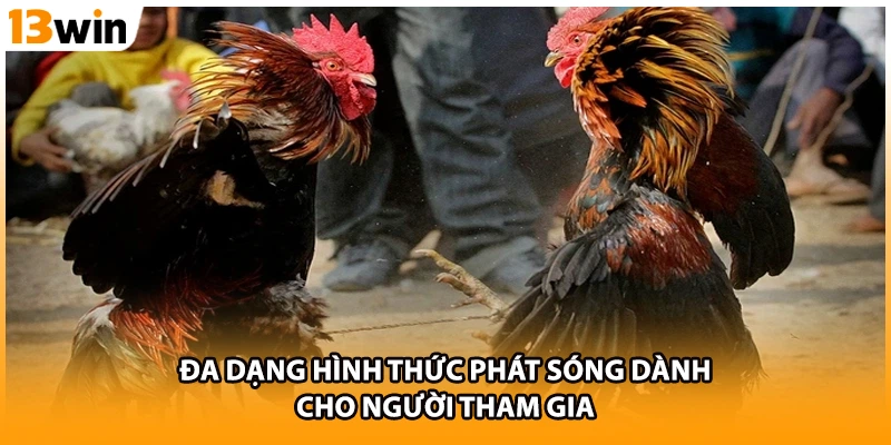 Đa dạng hình thức phát sóng dành cho người tham gia