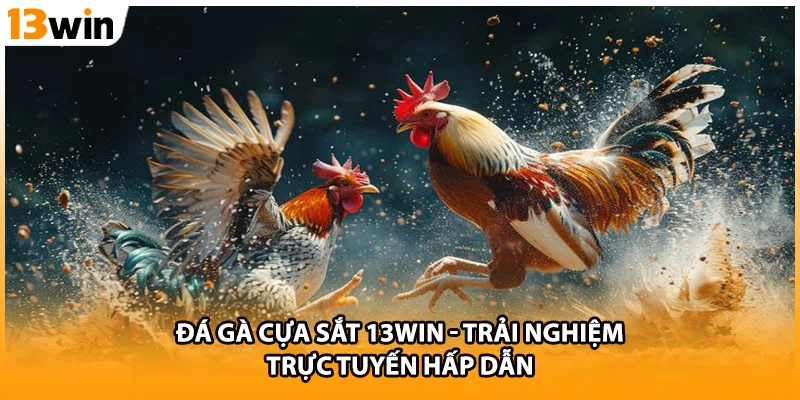 Đá Gà Cựa Sắt 13WIN - Trải Nghiệm Trực Tuyến Hấp Dẫn