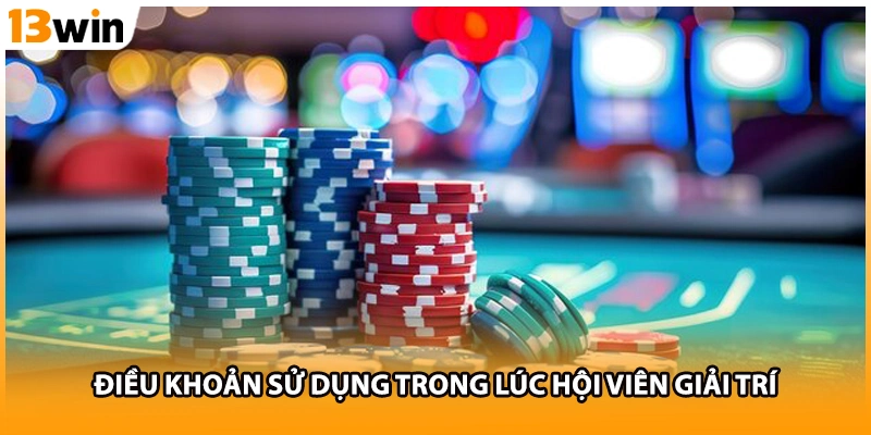 Điều khoản sử dụng trong lúc hội viên giải trí