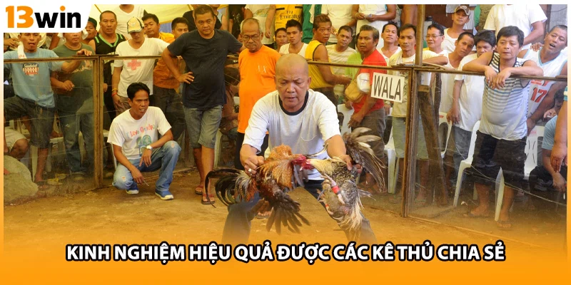 Kinh nghiệm hiệu quả được các kê thủ chia sẻ