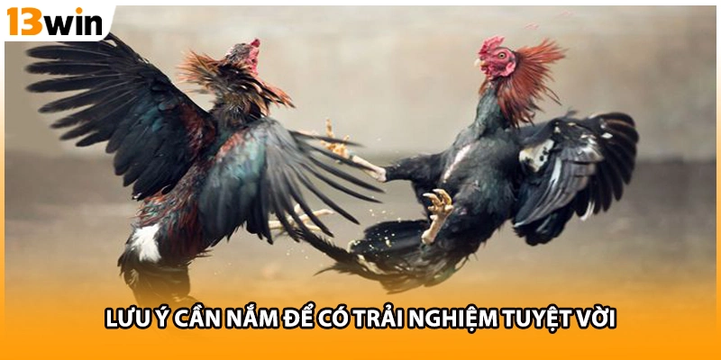 Lưu ý cần nắm để có trải nghiệm tuyệt vời