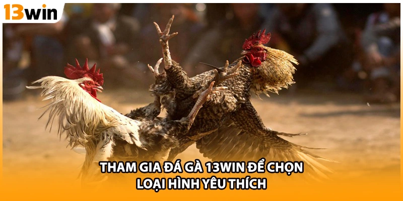 Tham gia đá gà 13WIN để chọn loại hình yêu thích
